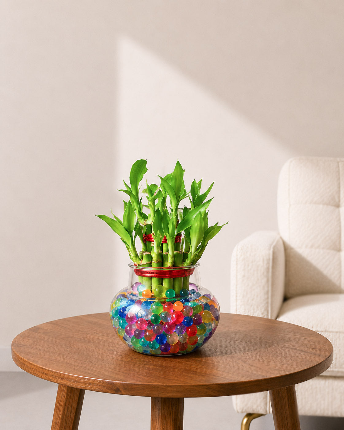 glass bowl for lucky bamboo Lucky Bamboo in Round Glass Pot with Hydrogel Beads- Unlimited Greens –  unlimitedgreens