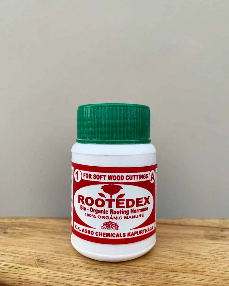 Rooting Hormone Rootedex