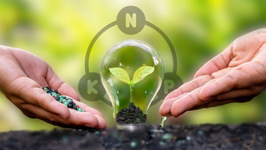 The Ultimate Guide to NPK Fertilizer: What It Is and How It Benefits Your Plants