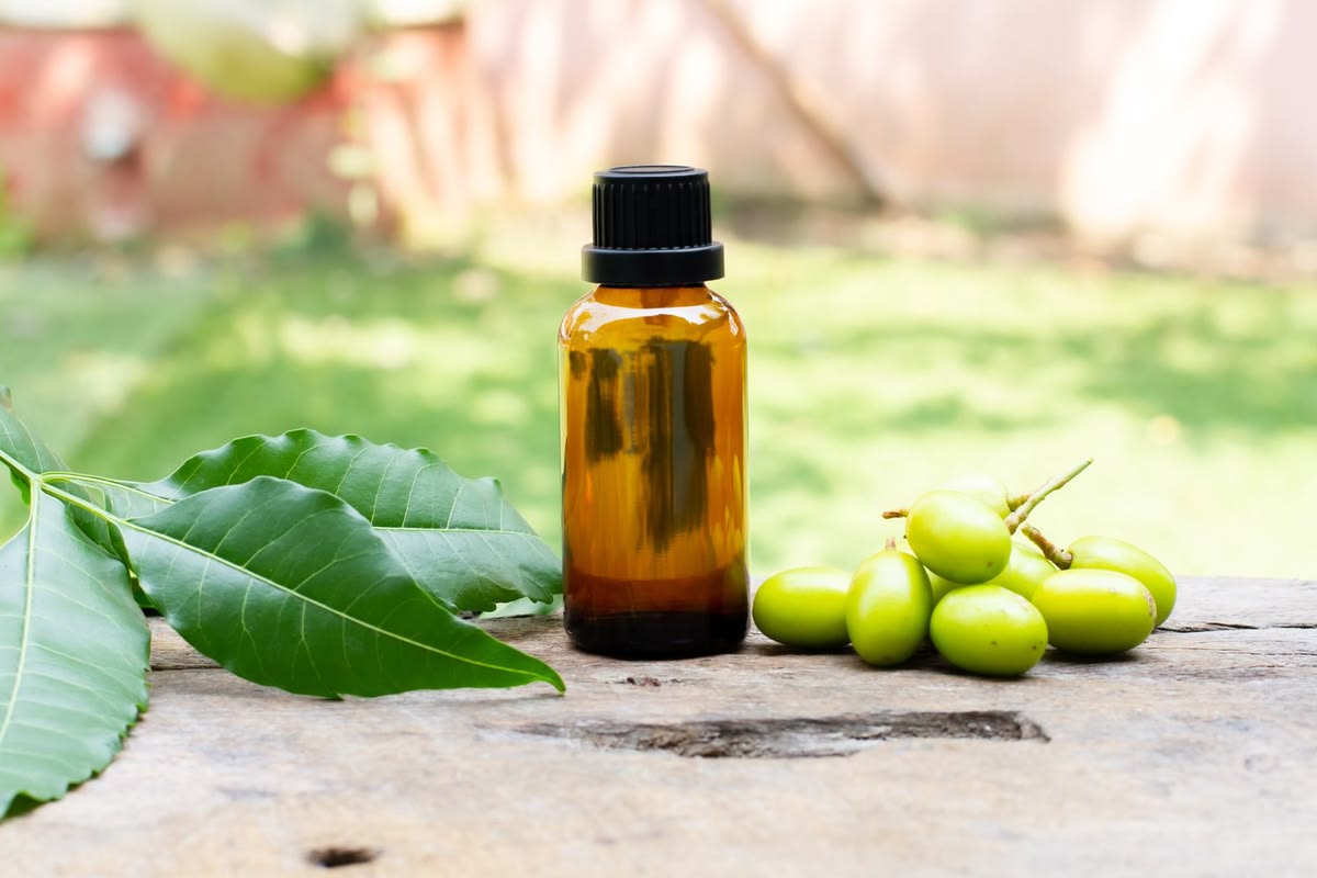 Neem Oil for Plants: Benefits, Uses, How to Apply & Plants to Avoid