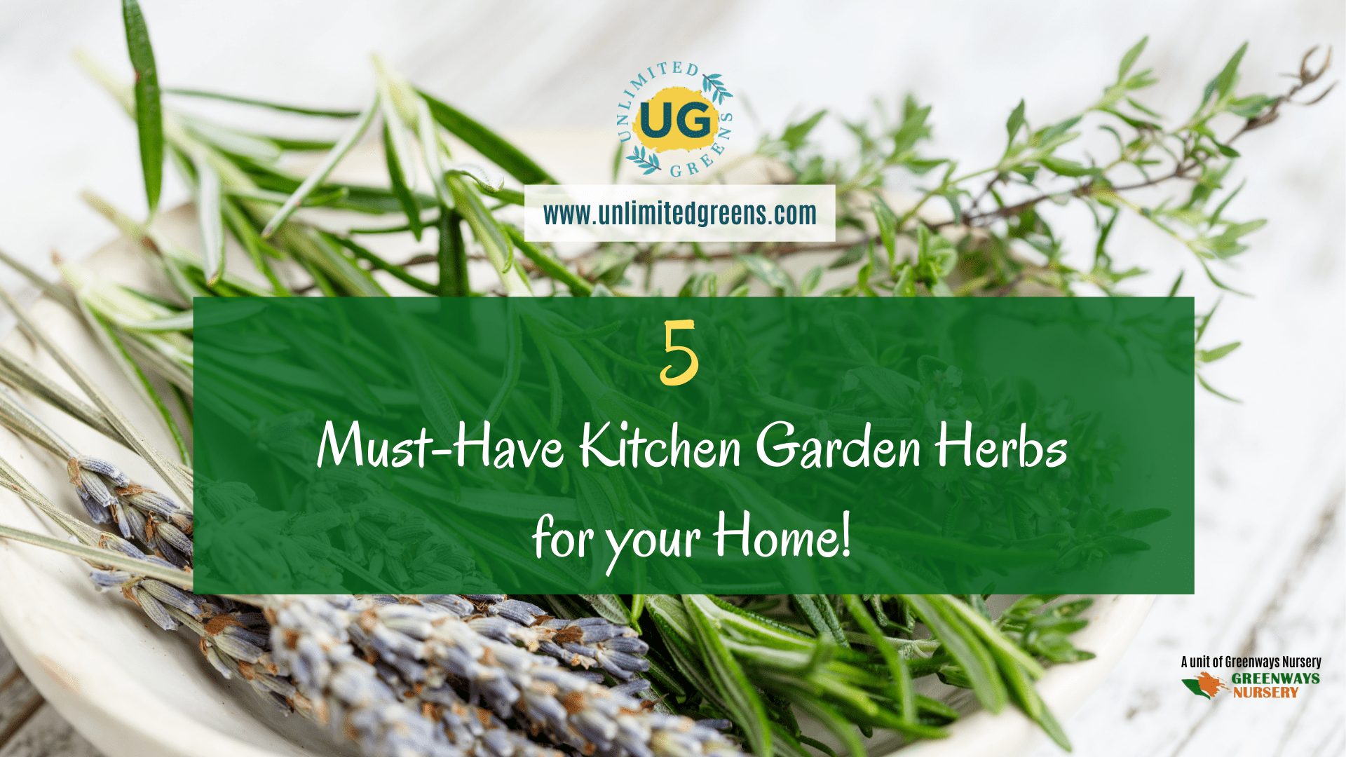 5 Must have herbs for your kitchen garden - Unlimited Greens