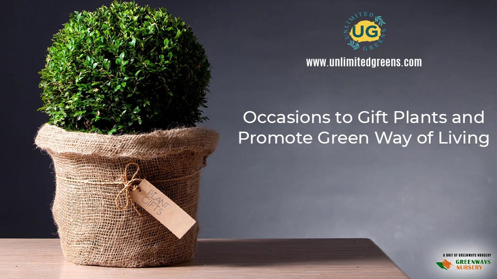 Occasions to Gift Plants and Promote Green Way of Living