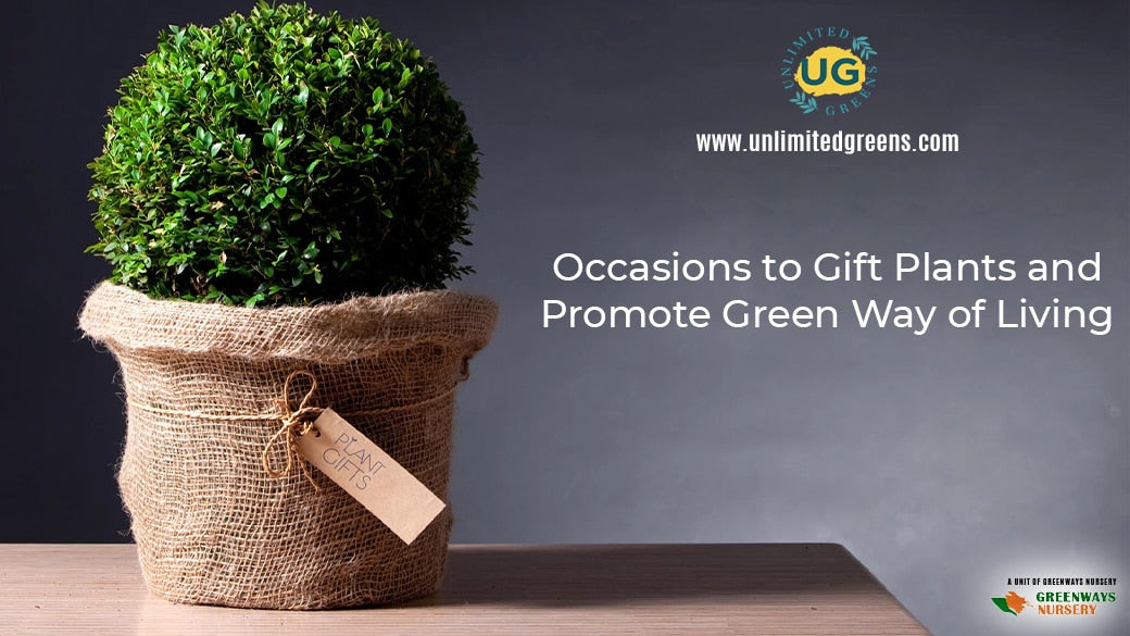 Occasions to gift plants and promote Green way of living - Unlimited Greens