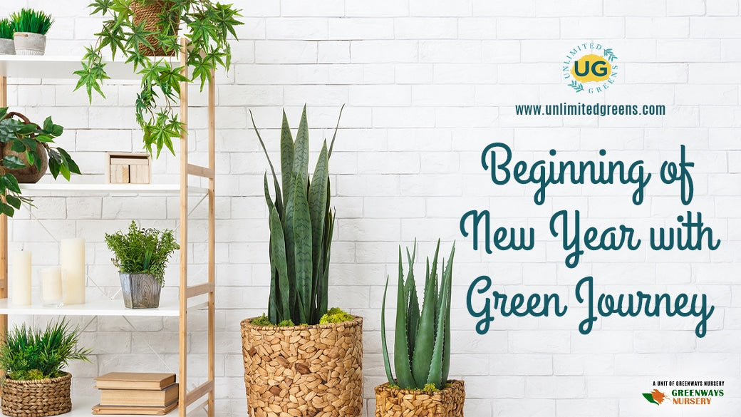 Beginning of new year with Green journey Unlimited Greens
