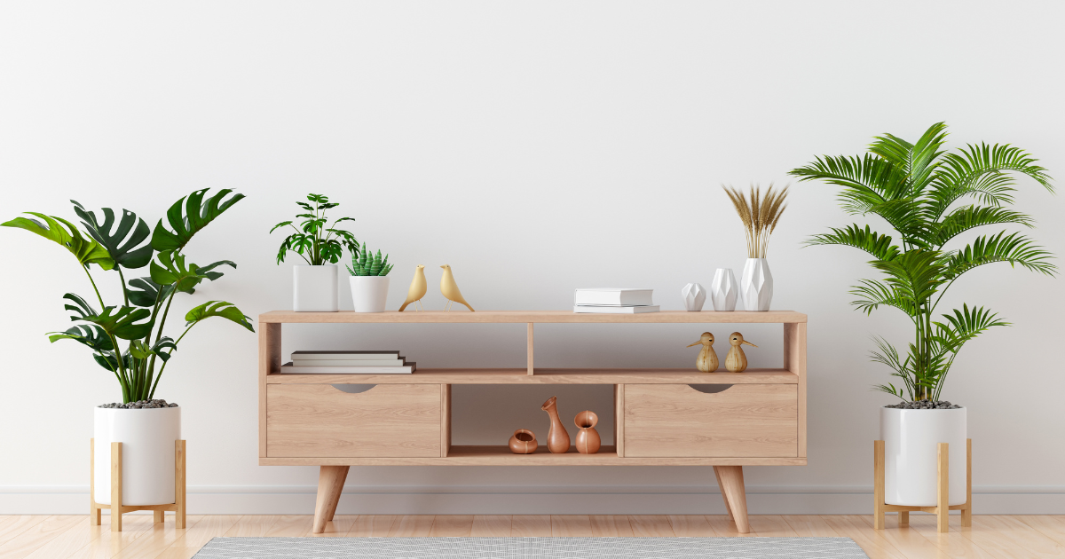 4 Best Feng Shui Plants