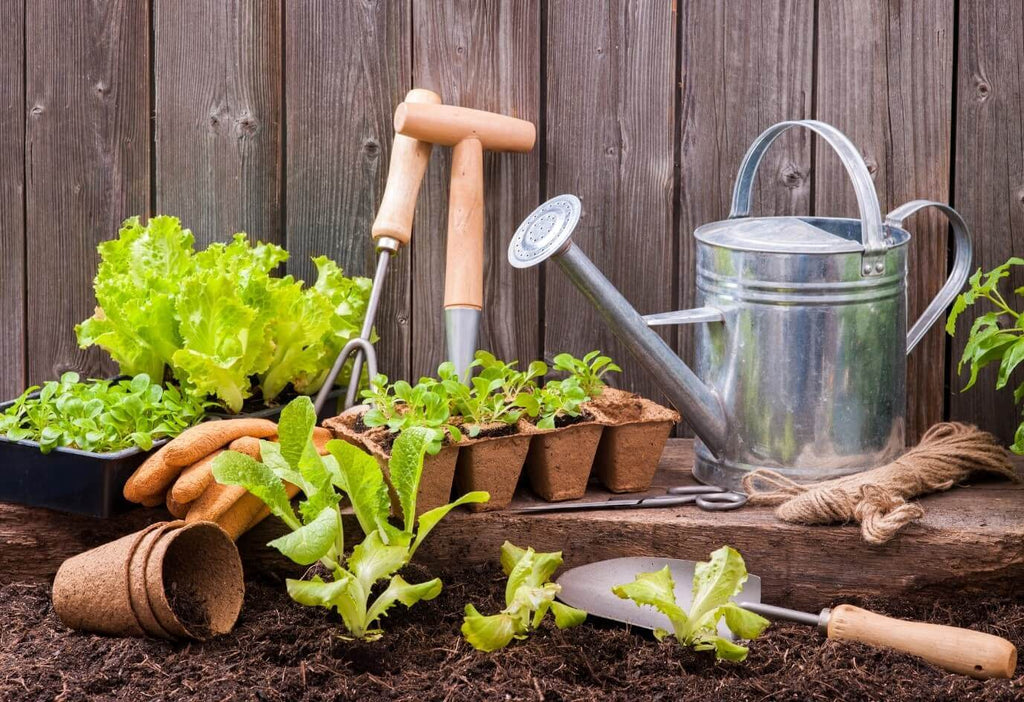 Gardening To Help Relax Your Mind During Covid