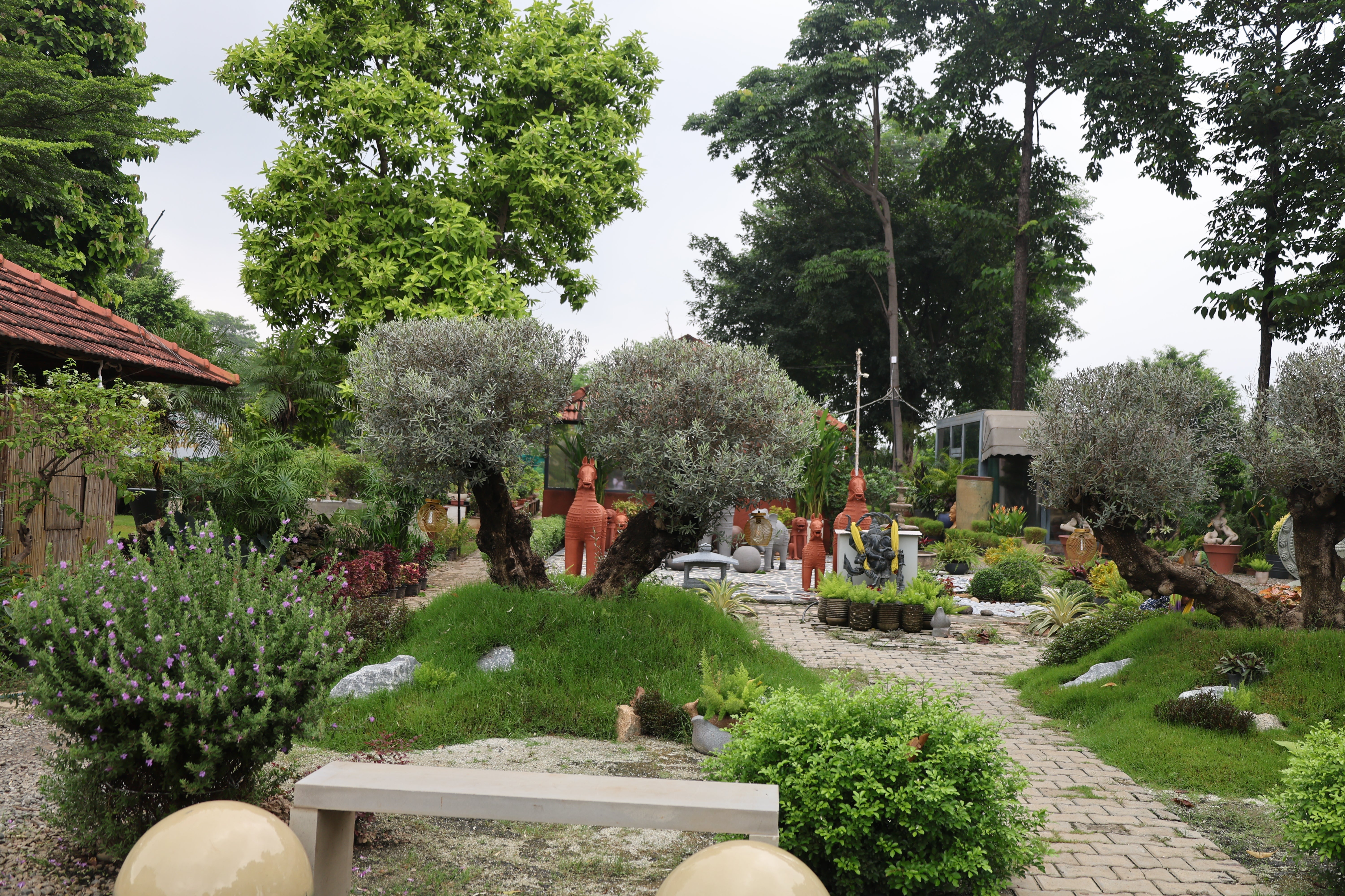 Landscaping Plants, Design & Maintenance: Everything You Need to Know