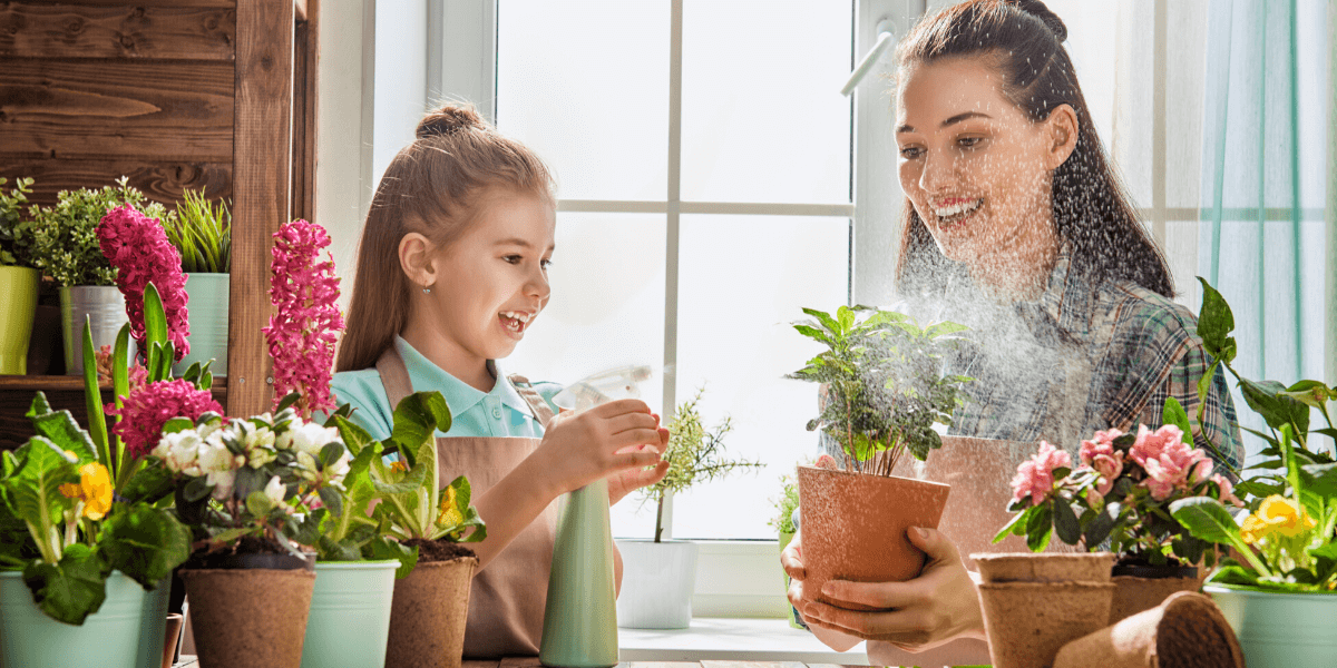 Celebrating Mother's Day with the Beauty of Plants: A Tribute to Mom and Nature