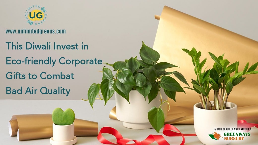This Diwali Invest in Eco-friendly Corporate Gifts to Combat Bad Air Quality from Unlimited Greens