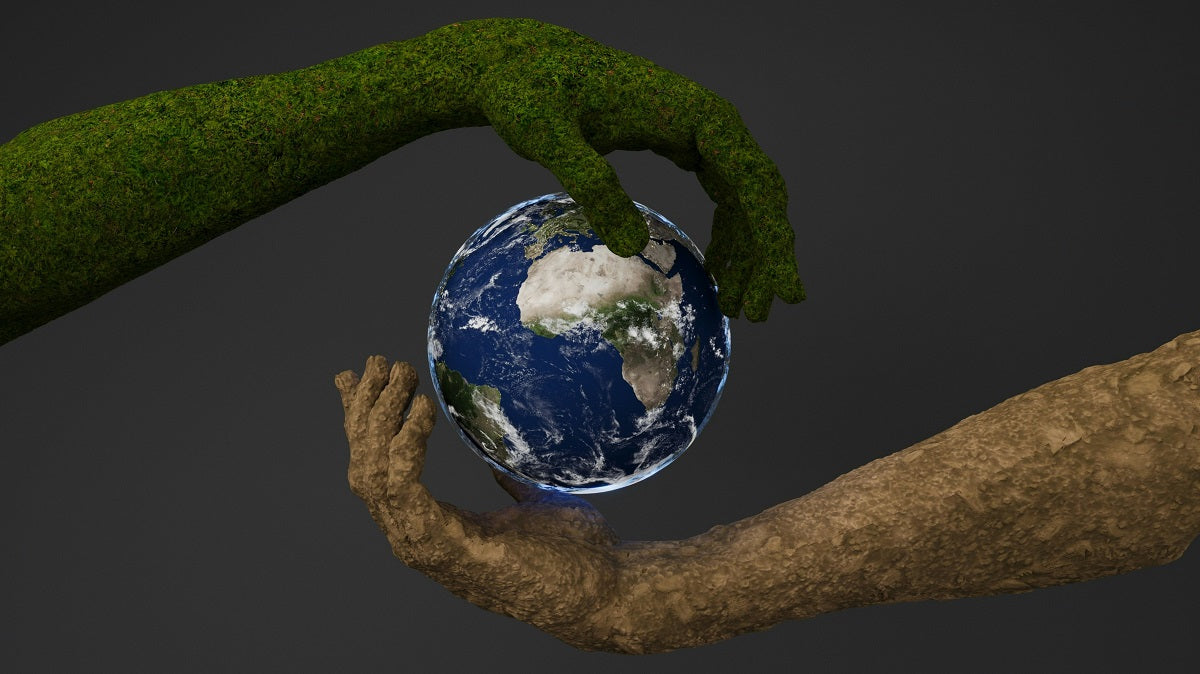 World Environment Day: Why It Matters and How You Can Be the Change