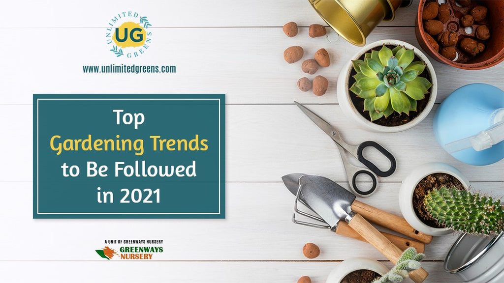Top Gardening Trends To Be Follow