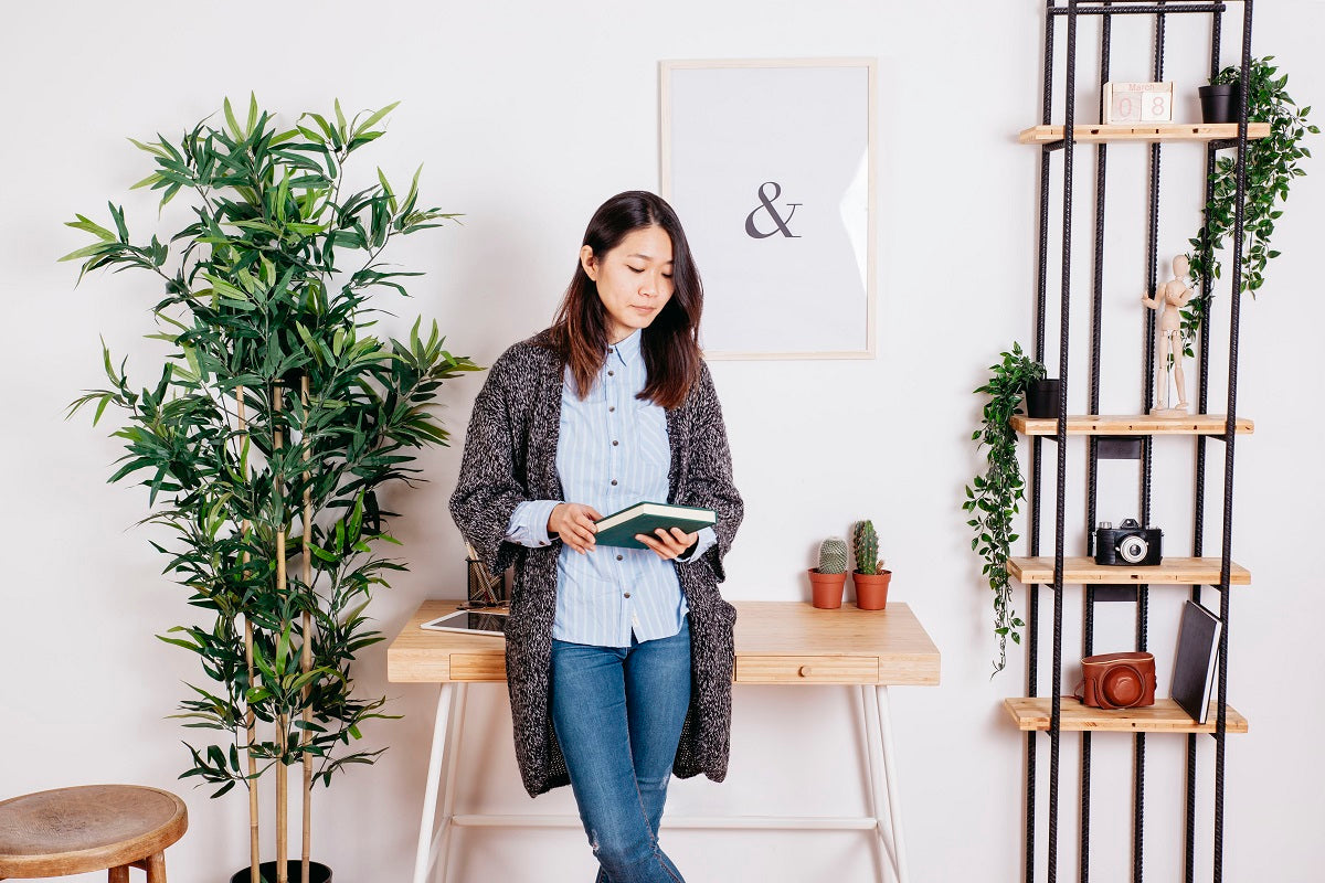 Top 10 Tall Indoor Plants for Homes and Office Spaces