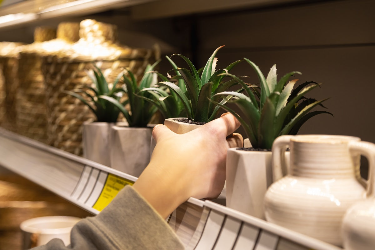 Is a Grow Light Considered Direct or Indirect Light for Plants?