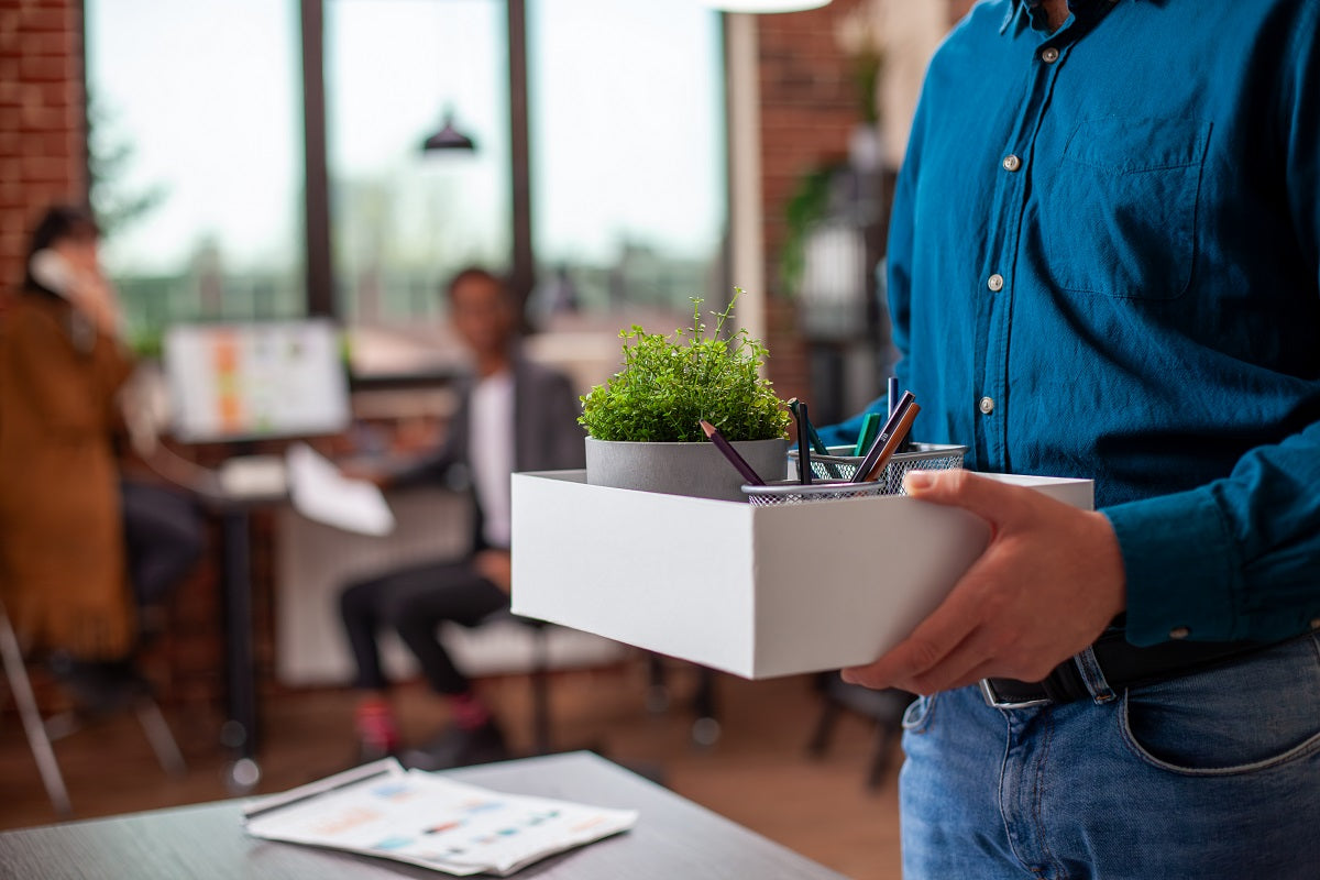 Corporate Gifting Plants: A Sustainable Way to Strengthen Bonds
