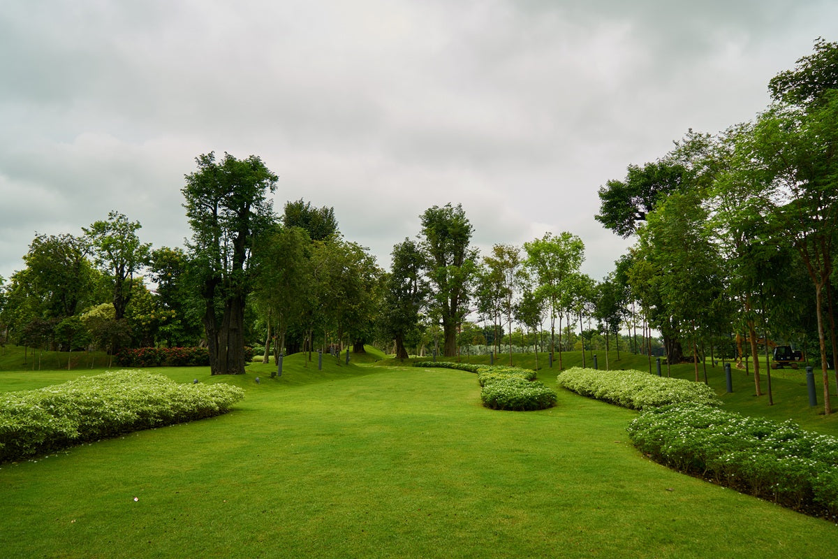 Complete Guide to Landscaping in Delhi NCR: Design, Plants, Cost & Maintenance