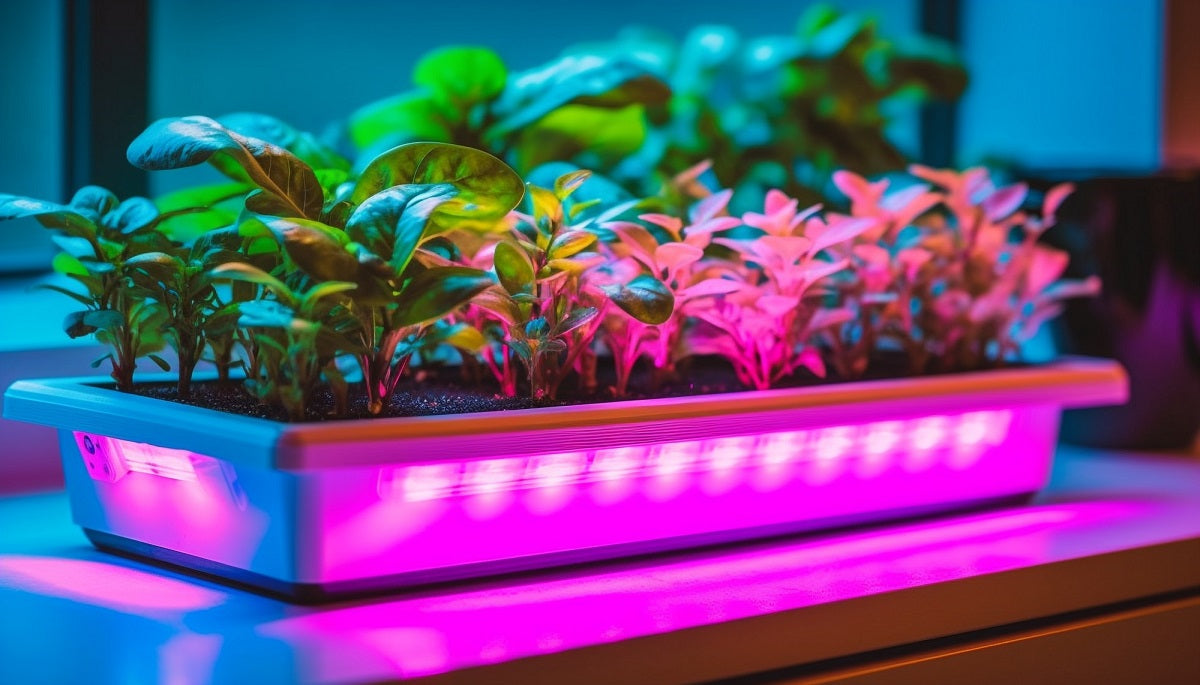 Artificial Light for Indoor Plants: Can Tube Lights Really Work?