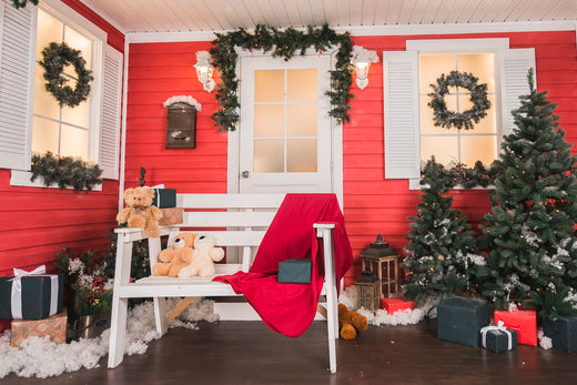Top Christmas Plants to Brighten Your Holiday Season