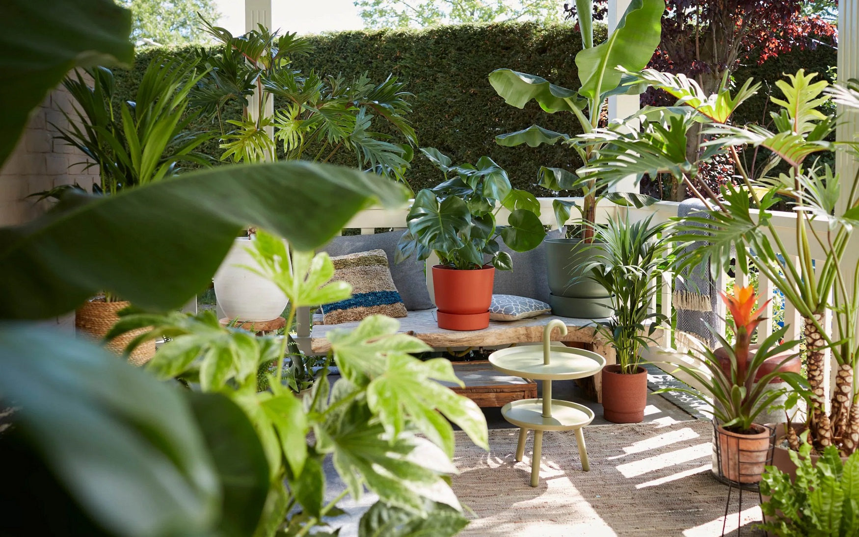 How To Save Your Plants With Summer Heat