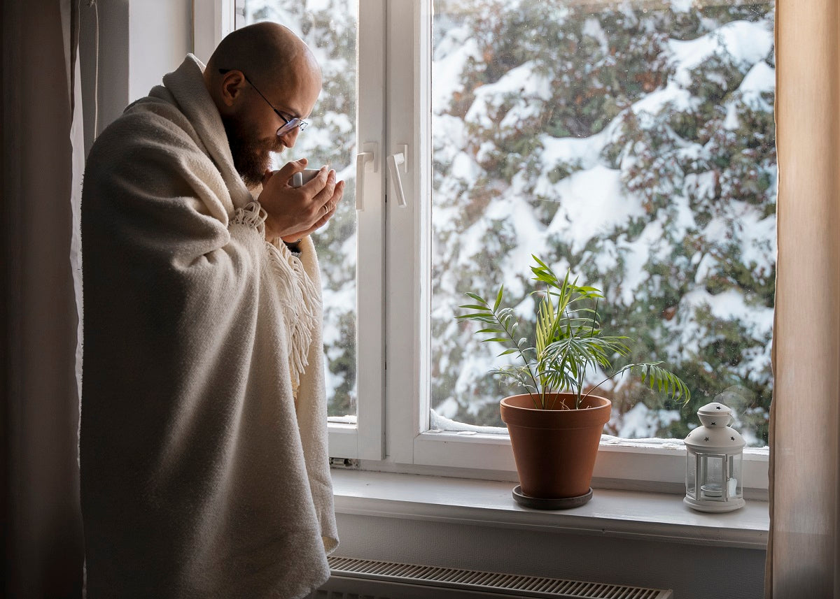 How to Keep Indoor Plants Healthy During Dry Winter Months