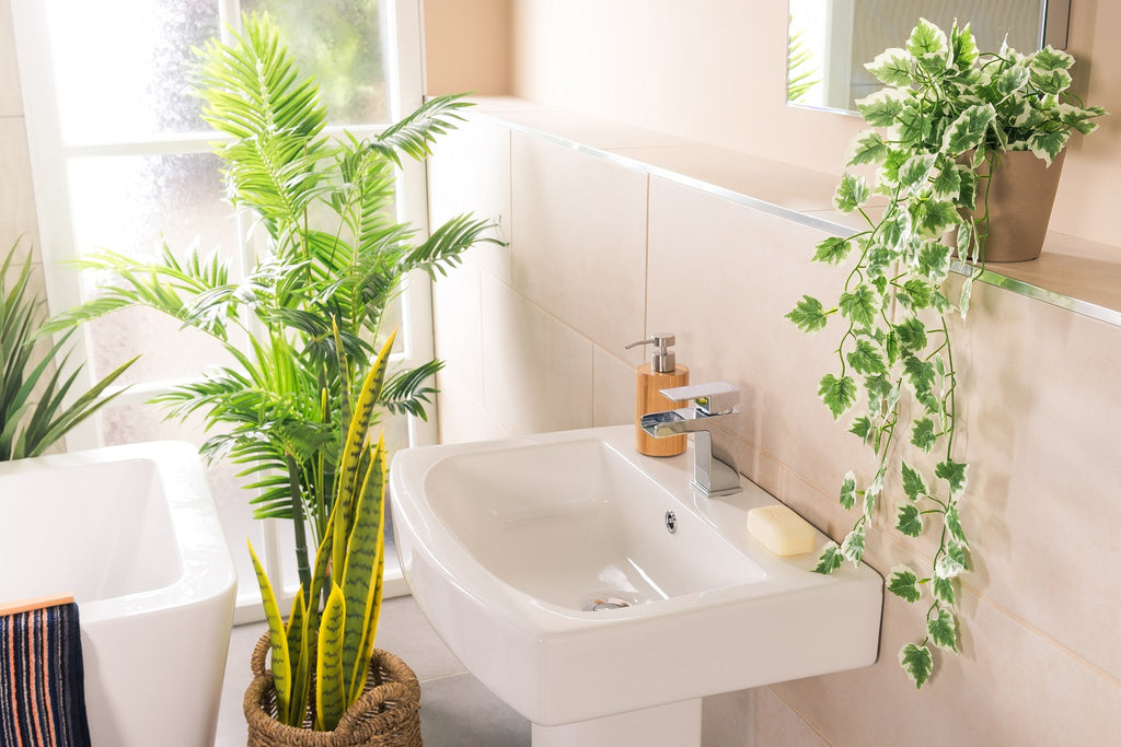Top 5 Bathroom Plants That Absorb Moisture- A Guide to a Greener ...