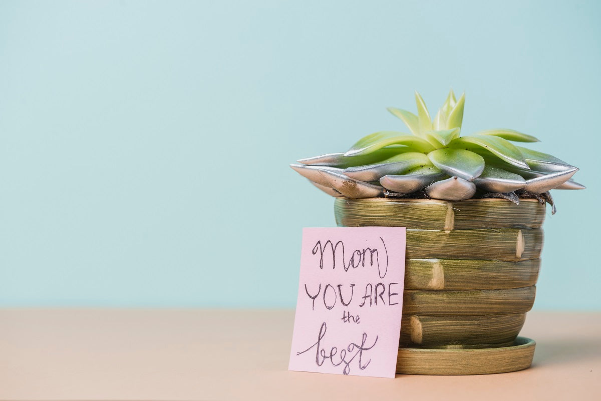 Why Green Gifts Make the Best Choice for Mother's Day