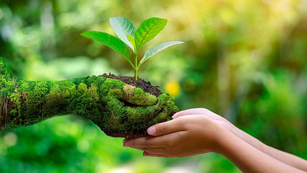 Role of Plants In Improving Health