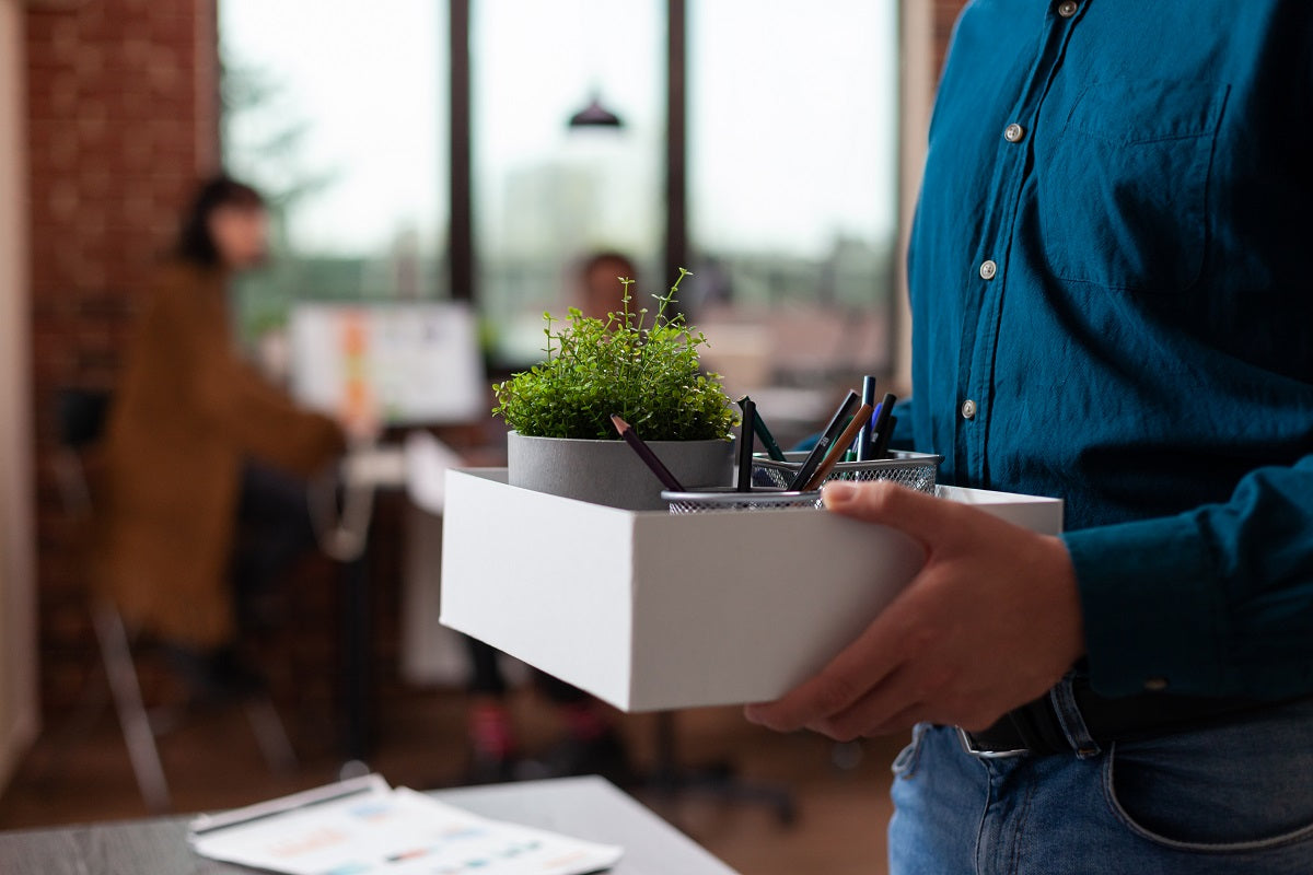 Grow Goodwill: Why Plants Make the Ultimate Eco-Friendly Corporate Gifts
