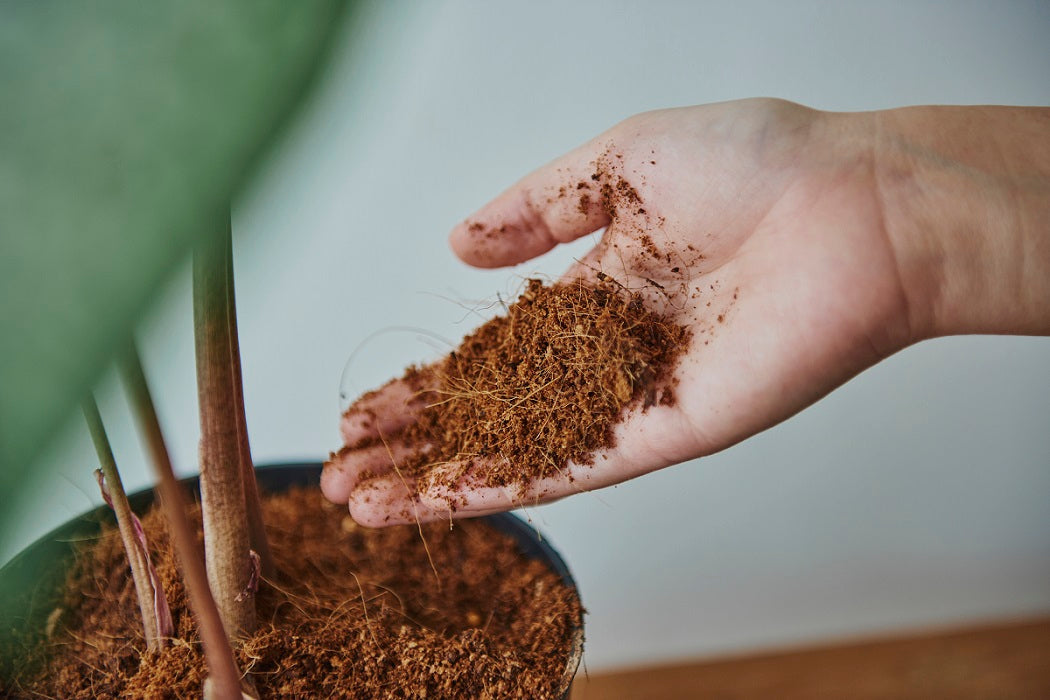 The Ultimate Guide to Making Your Potting Mix for Plants