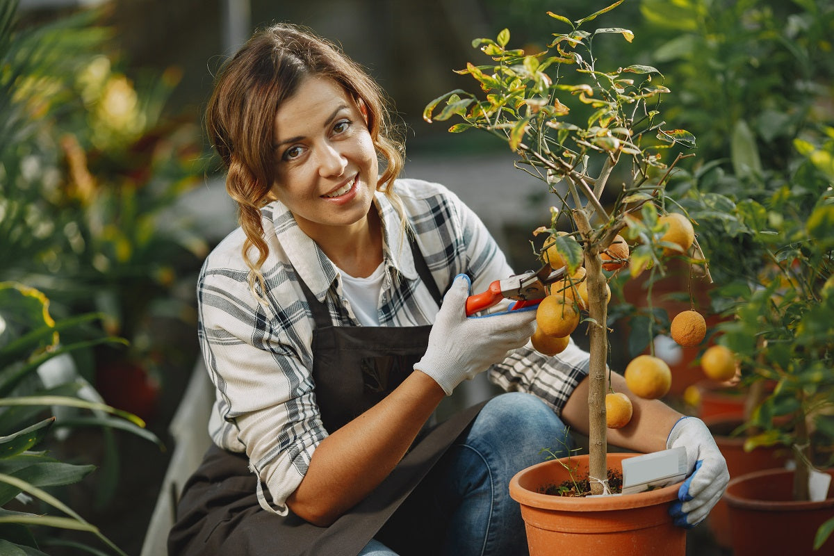 10 Amazing Plants You Can Grow and Eat at Home