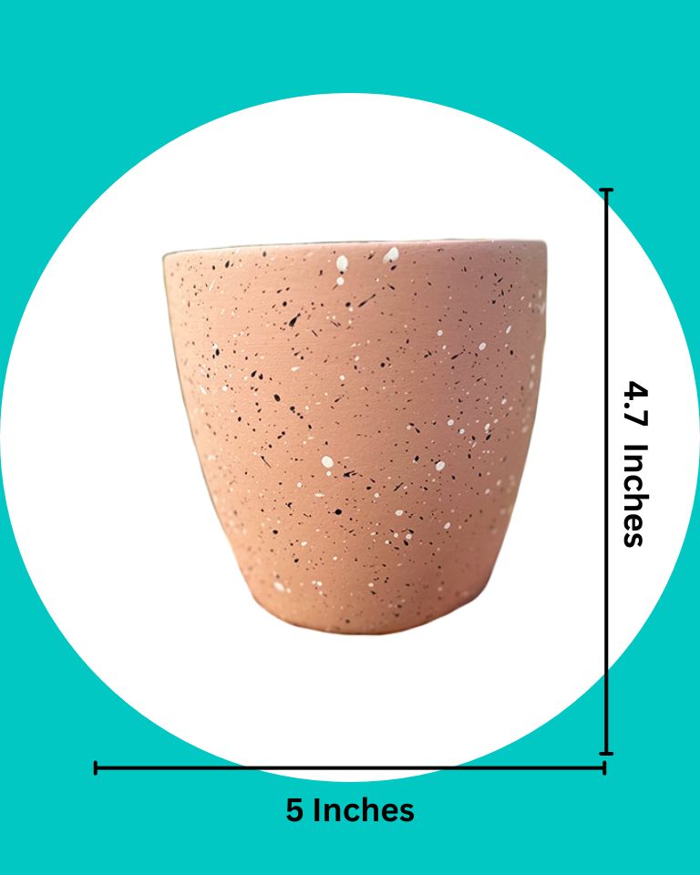 Speckled Terracotta Clay Pot (Set of 3)