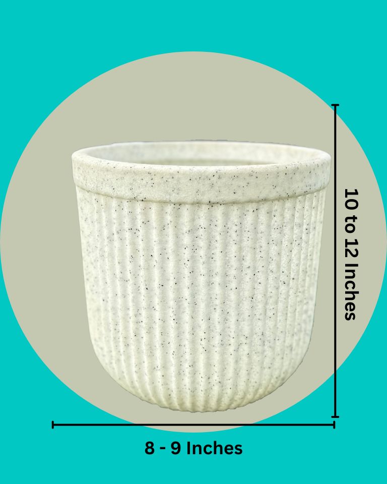 Buy Tokyo planter online in Mumbai