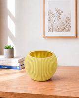 Round Melon Pot