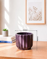 Modern Curved Ceramic Pot