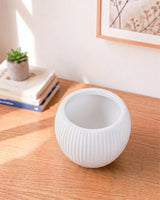 Round Melon Pot
