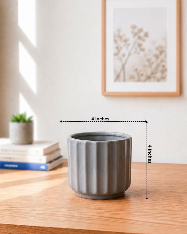 Modern Curved Ceramic Pot