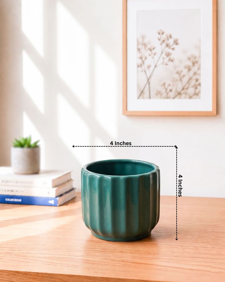 Modern Curved Ceramic Pot