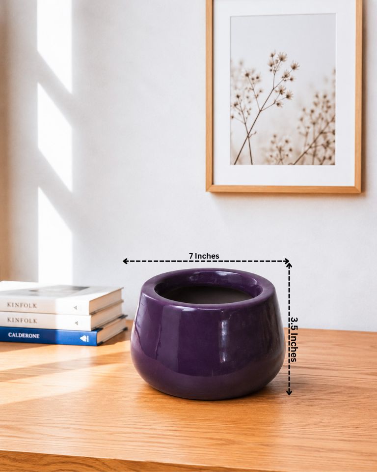 Glossy Round Ceramic Pot