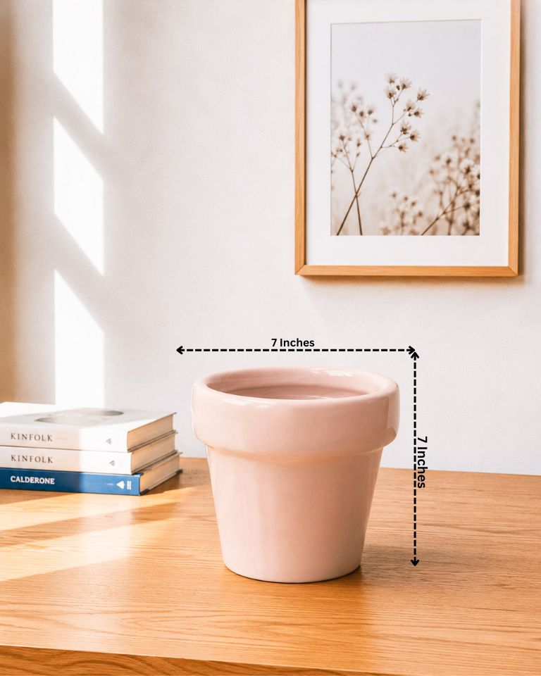 Modern Collar Ceramic Planter