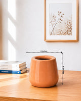 Glossy Minimal Ceramic Planter