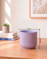 Ibiza Pot