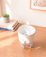 Self Watering Pot