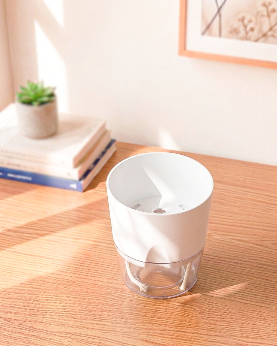Self Watering Pot