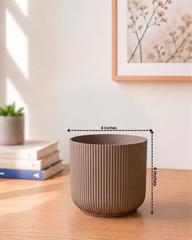Ibiza Pot