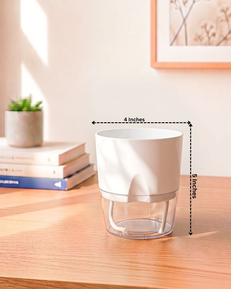 Self Watering Pot