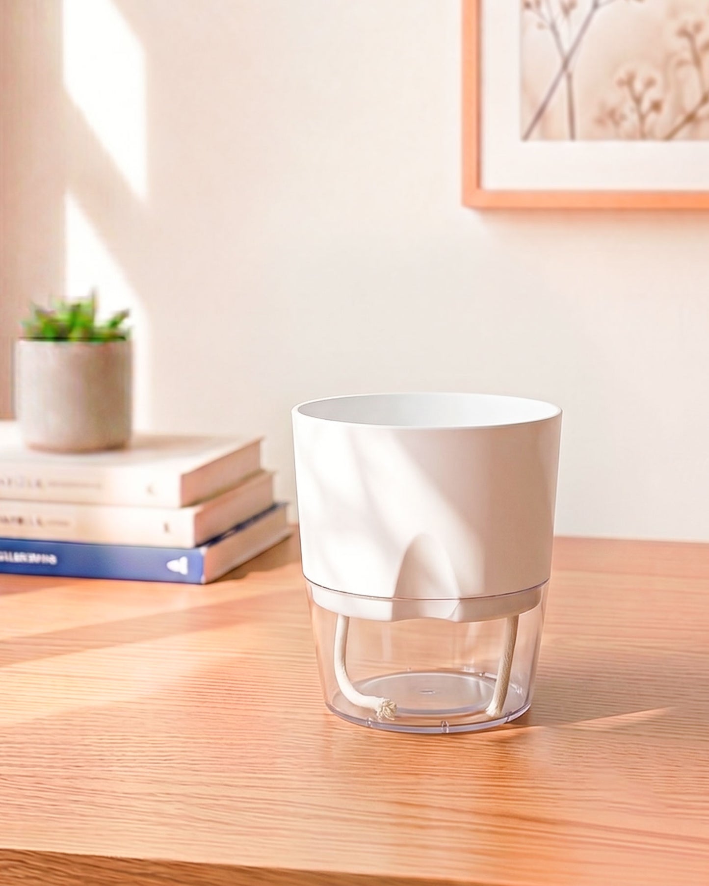 Self Watering Pot
