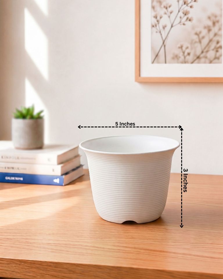 Textured Pot