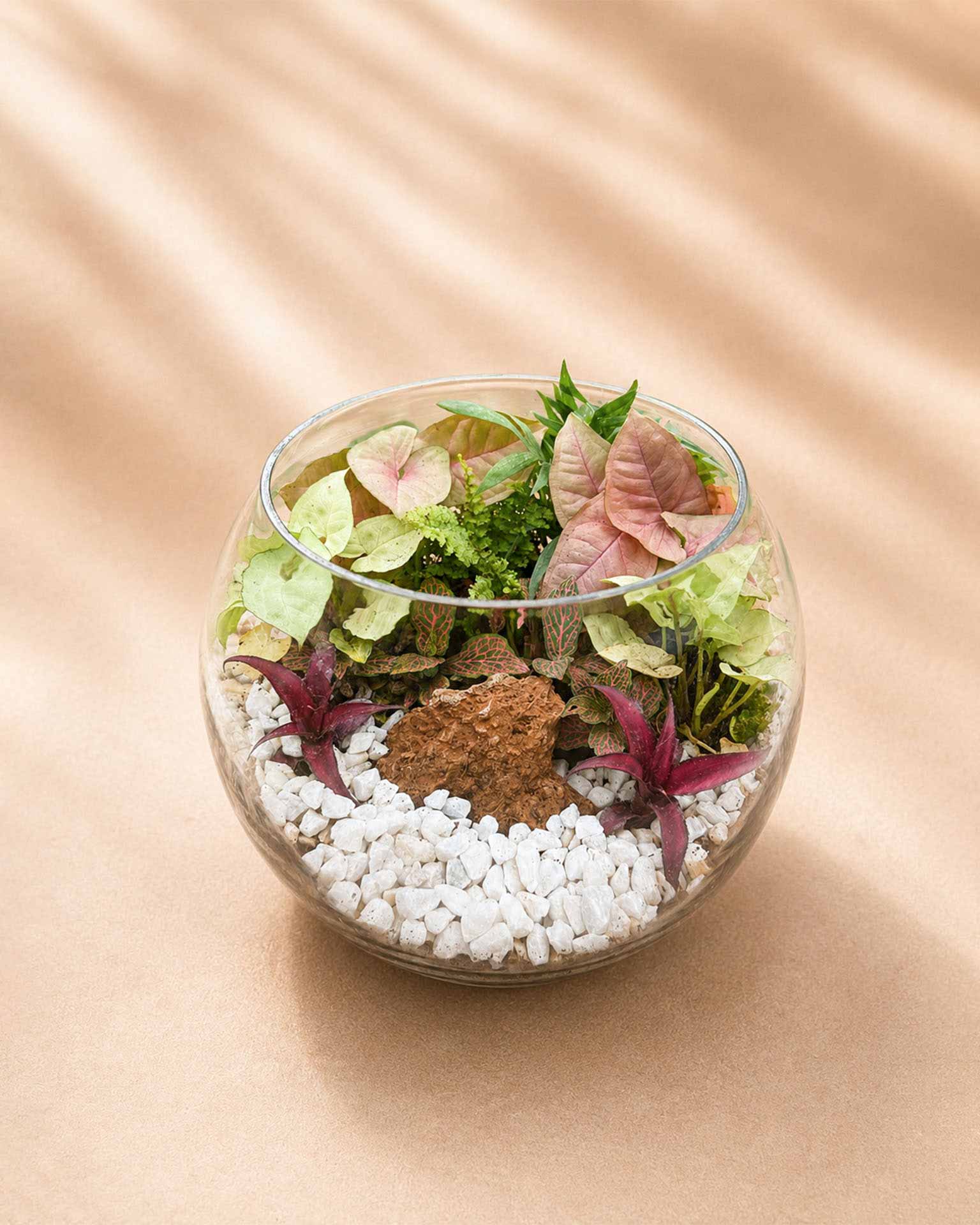 Terrarium Rakhi Gift – Eco-Friendly Rakhi with Chocolate & Card
