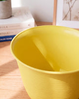 Textured Pot