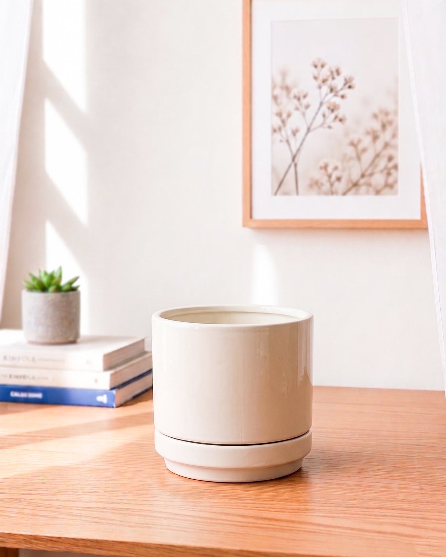 Ceramic Plain Planter