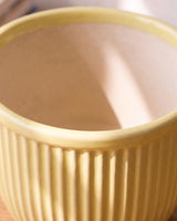 Vertical Textured Ceramic Planter